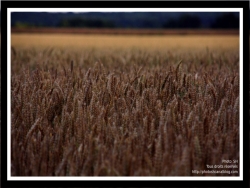 Photo inscription n°2