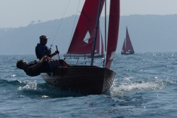 Redwings en baie de St-Brieuc