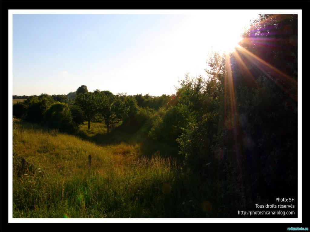 Photo inscription n°4