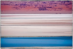 La photo la plus chère du monde (style)