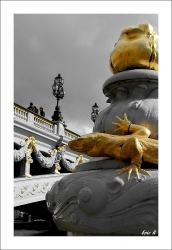 Touristes sous surveillance