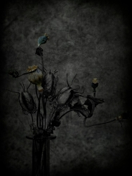 Composition sèche