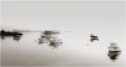 Brume de mer