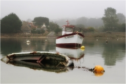 Matin brouillardeux