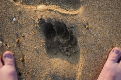 Photo inscription n°4