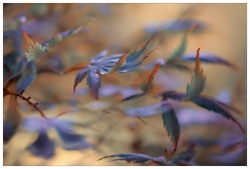 Travail sur les pointes
