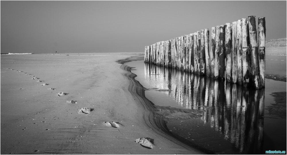 Photo inscription n°3