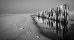 Photo inscription n°3