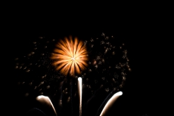 Fleur de lumière