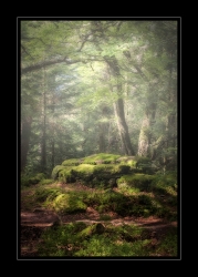 La roche aux fées