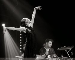 avaulx jazz 2014