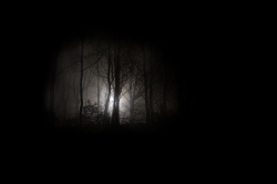 Le Projet Blair Witch *
