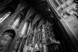 Cathédrale d'Albi en N&B