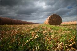 Rouleaux d'automne en Picardie
