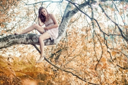 Fleur d'automne