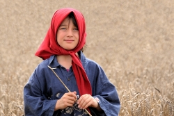 Comme un petit coquelicot...
