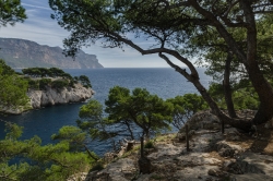 Au dessus de Cassis