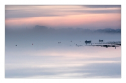 Brume saumonée