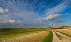 sur la côte d'Opale