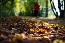 Jogging automnal