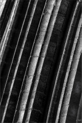courbe en noir et blanc