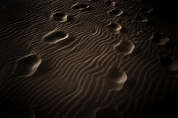 Traces