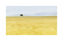 Le solitaire