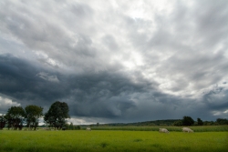 ma campagne, aout 2008
