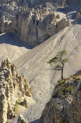 Du haut du col du Lautaret