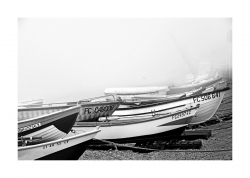 Brume