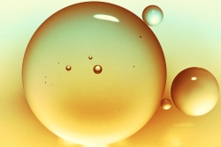 Oil