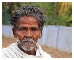 L'indien du jour