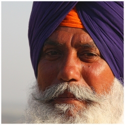 L'indien du jour