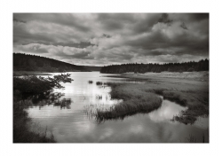 Le bout du lac