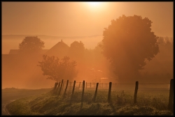 Couleurs Champagne