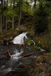 cascade du Tendon