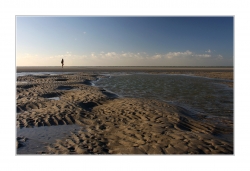 Balade en baie de Somme