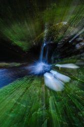 l'eau
