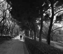 Marcher à Madrid ...