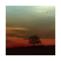 Sur la colline