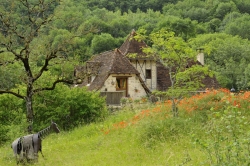Le celèbre cheval de don Quichote de la manche.