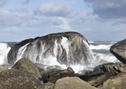 la baleine