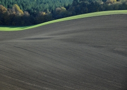 Les peintres de la terre