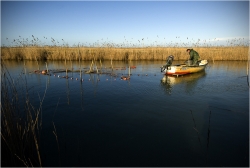 La Camargue.....voir et y vivre