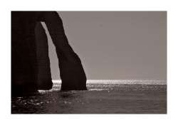 Elephantesque