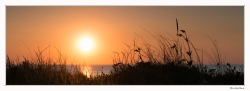 Soleil couchant depuis la dune