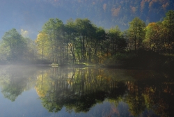 Matinale