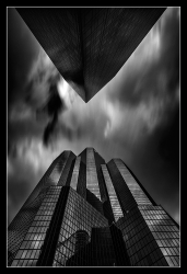 Noirs V