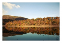 Reflets