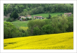 Drôme des collines